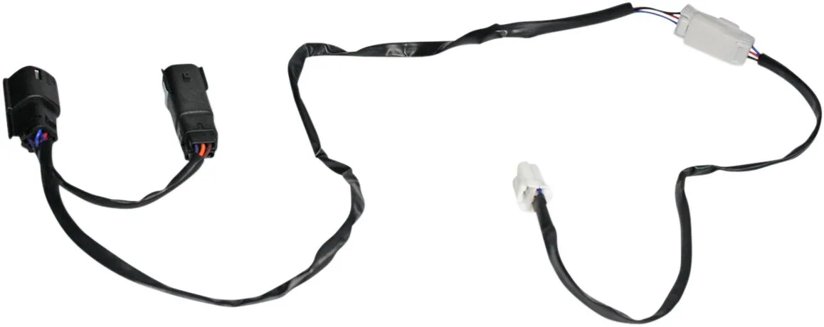 ak-0613-3129-custom-dynamics-1